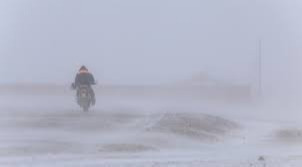 Малдаа явсан 56 настай иргэн осгож нас баржээ